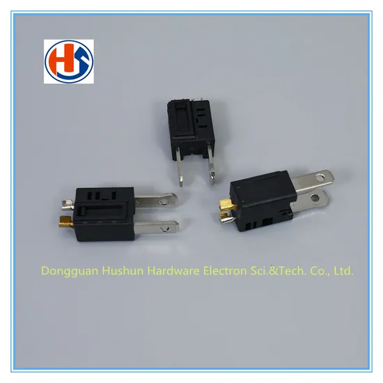 UL Two Pins America AC Plug Insert with Fuse 