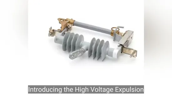 High Voltage Expulsion Factory Price (H) RW11