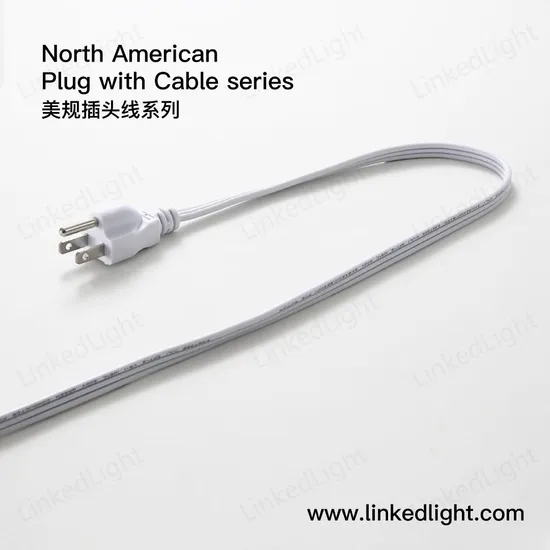 Chinese Supplier USA cUL Polarized Fuse Lamp Plug with Copper Electric Cable Wire Cord 
